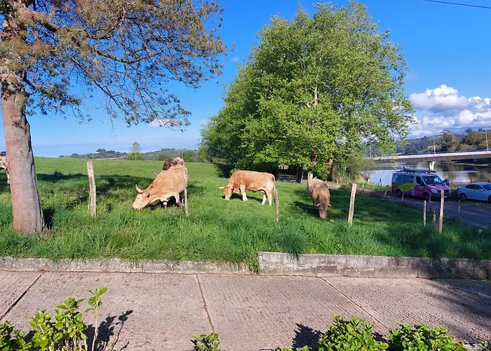 Tres Mimosas Holiday home *