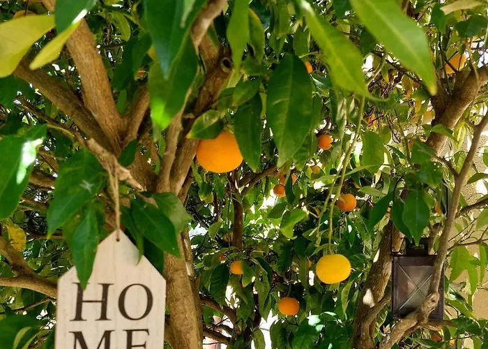 Tres Mimosas * San Vicente De La Barquera