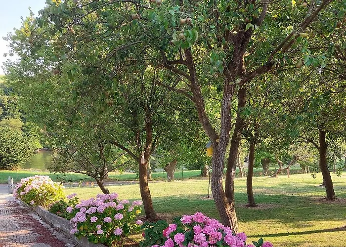 Tres Mimosas San Vicente De La Barquera