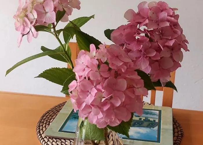 Tres Mimosas Дом отдыха