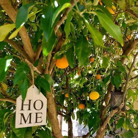 Tres Mimosas * San Vicente De La Barquera