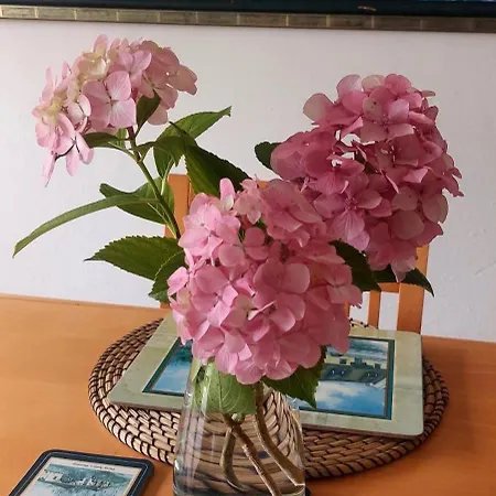 Tres Mimosas Prázdninový dům